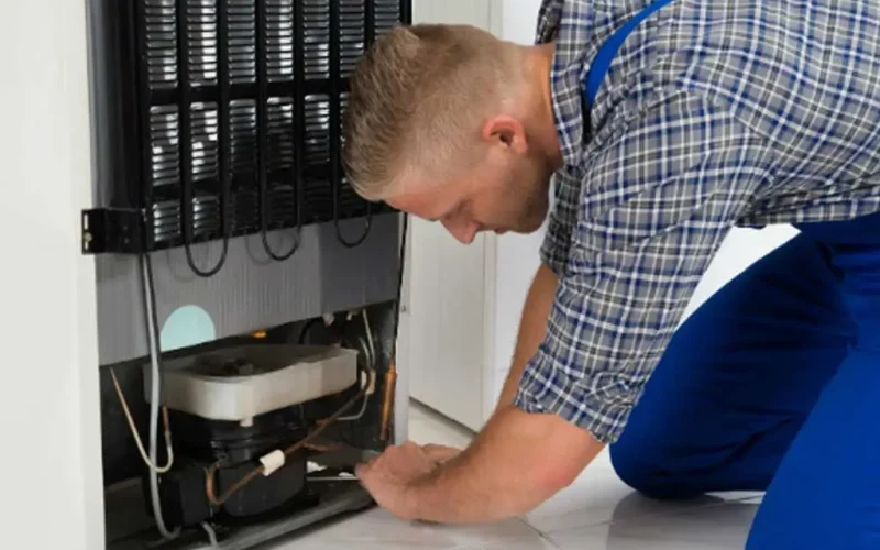 Thermador Freezer Repairing Services